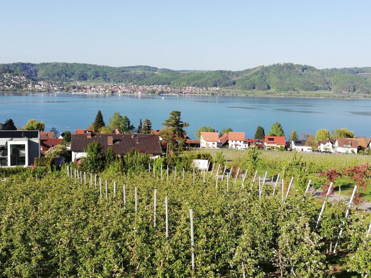Fewo Segelwind Bodman-Ludwigshafen Exteriör bild